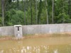 Site Wall Design